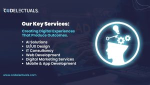 Our Key Services